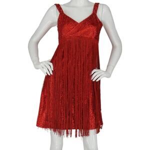 Vintage Tassel Tinsel Showgirl Stage Party Cocktail Fringe Gatsby Flapper Dress
